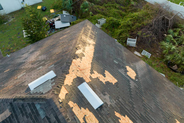 Essential Criteria for Choosing Roof Replacement Professionals